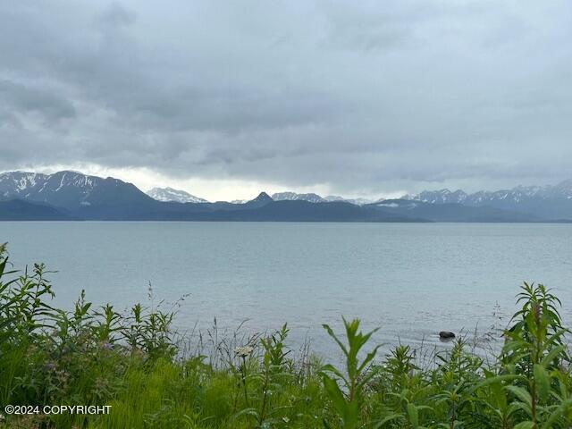 Homer, Alaska 99603, United States, ,Land,Active,54746