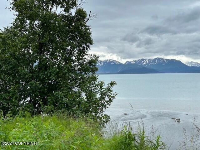 Homer, Alaska 99603, United States, ,Land,Active,54746