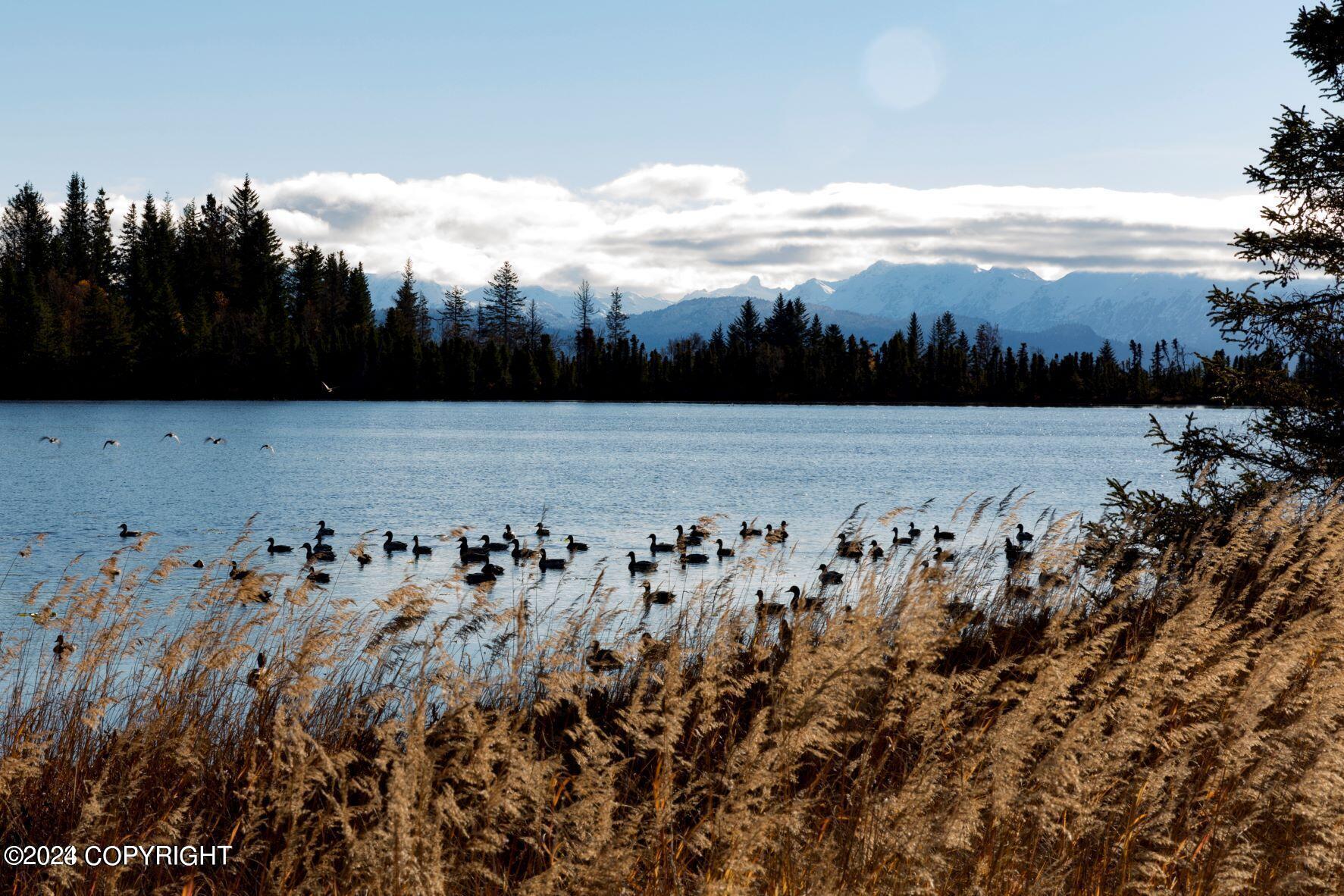 Homer, Alaska 99603, United States, ,Land,Active,54746