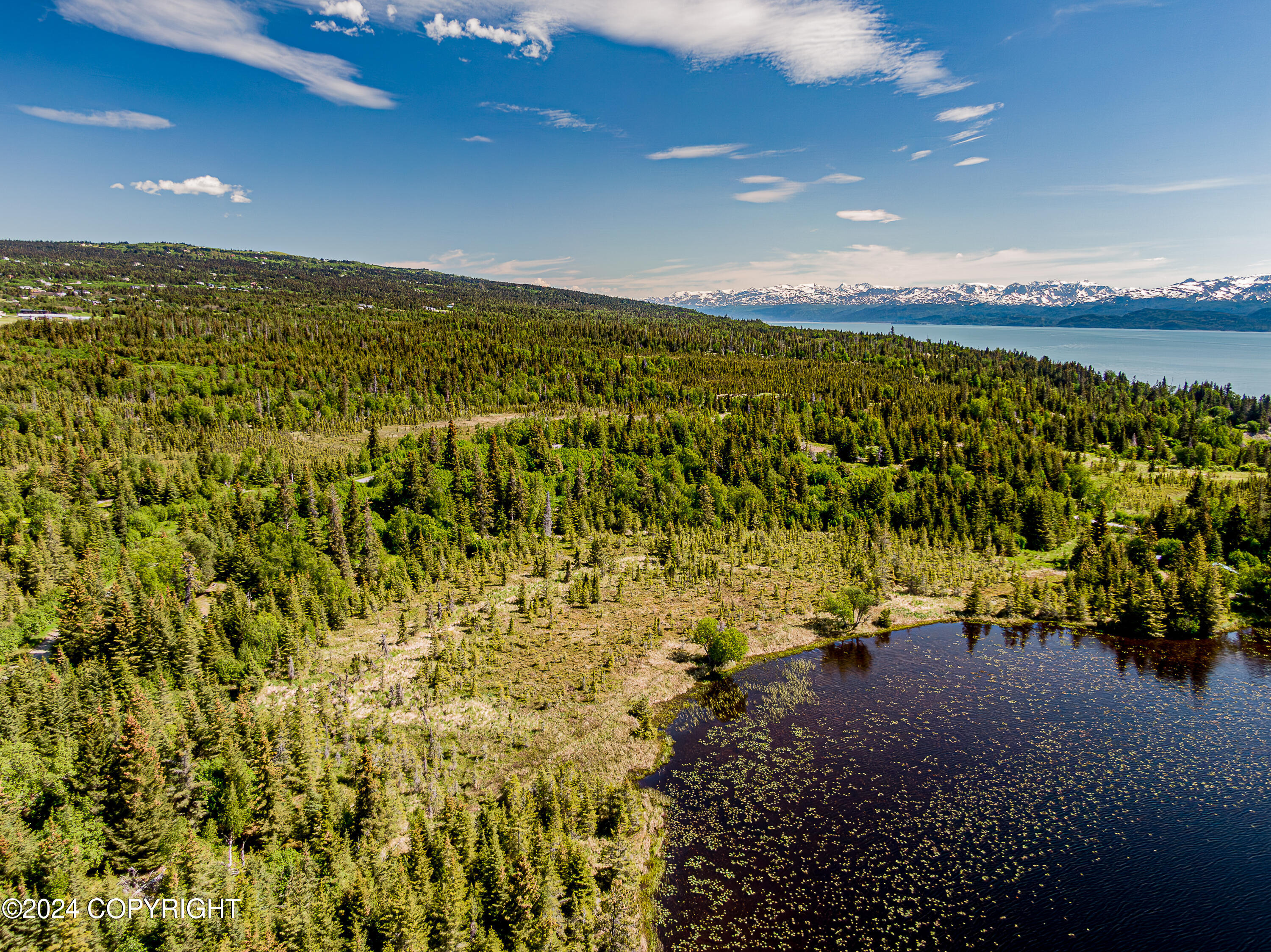 Homer, Alaska 99603, United States, ,Land,Active,54746