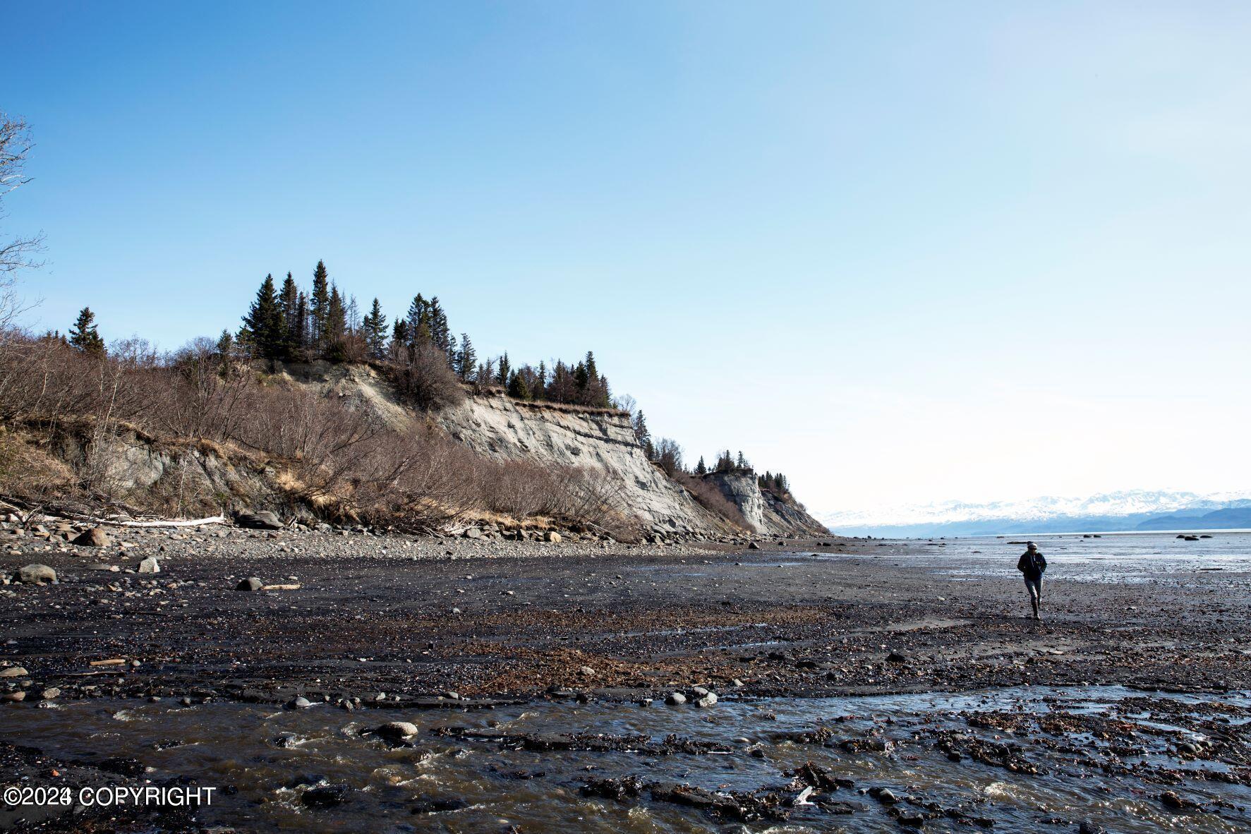 Homer, Alaska 99603, United States, ,Land,Active,54746