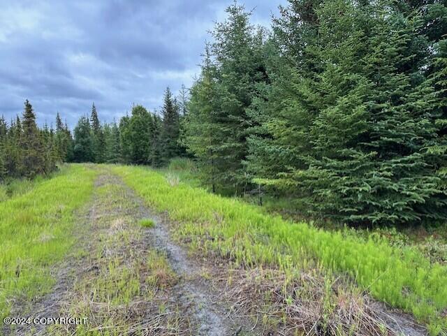 Homer, Alaska 99603, United States, ,Land,Active,54746