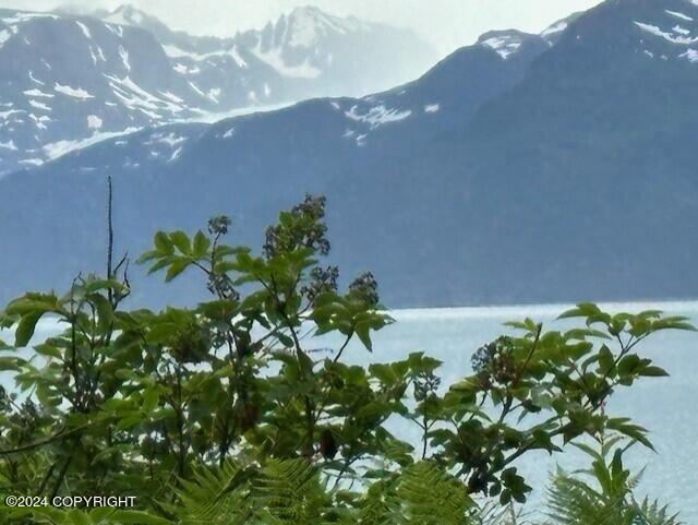 Homer, Alaska 99603, United States, ,Land,Active,54746