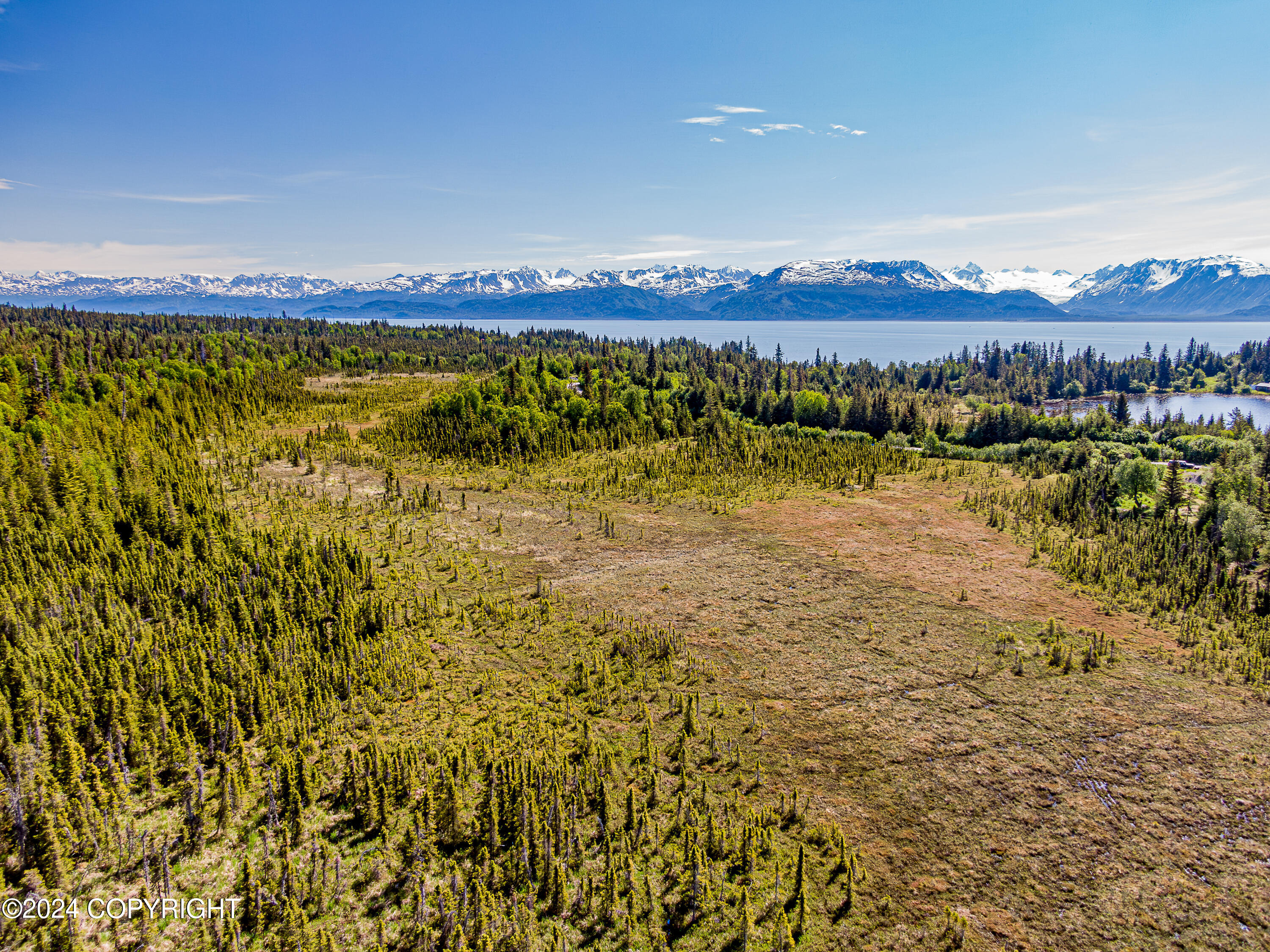 Homer, Alaska 99603, United States, ,Land,Active,54746