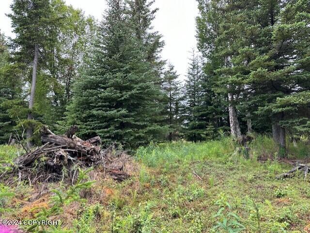 Homer, Alaska 99603, United States, ,Land,Active,54746