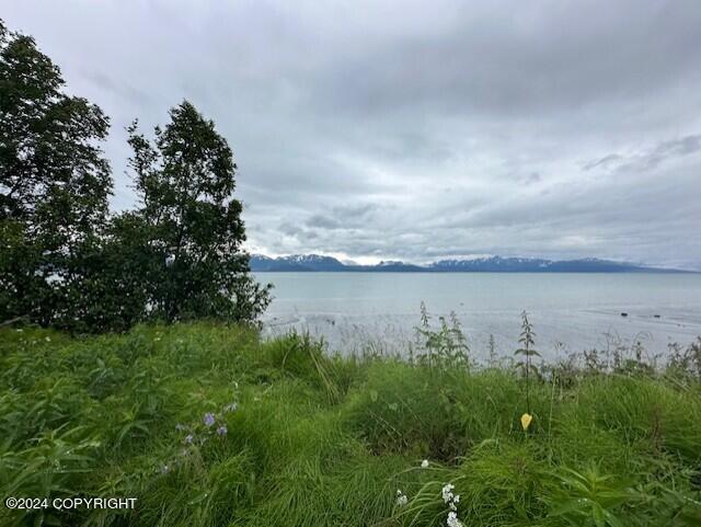 Homer, Alaska 99603, United States, ,Land,Active,54746