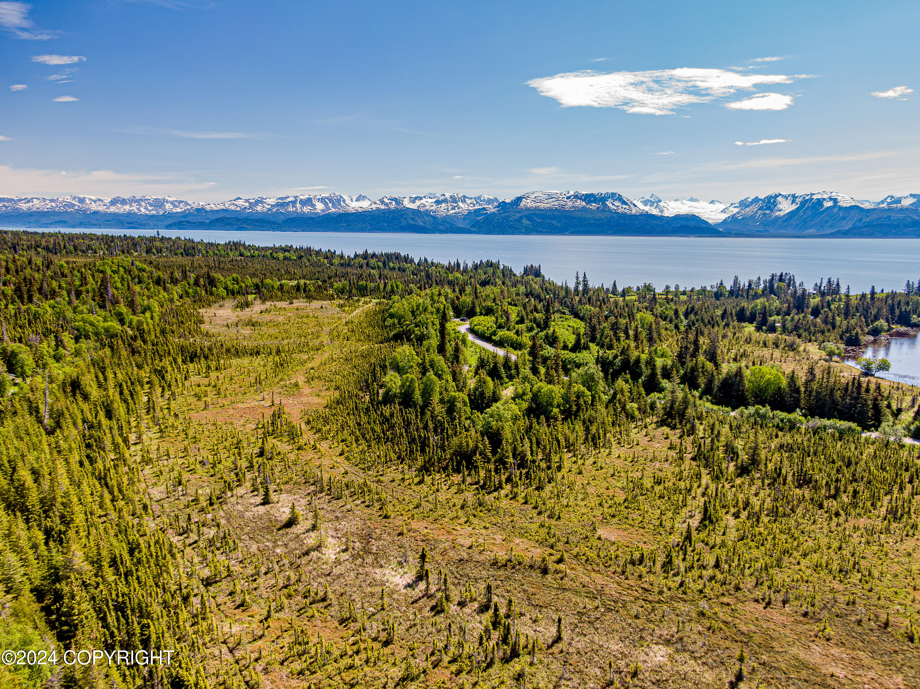 Homer, Alaska 99603, United States, ,Land,Active,54746