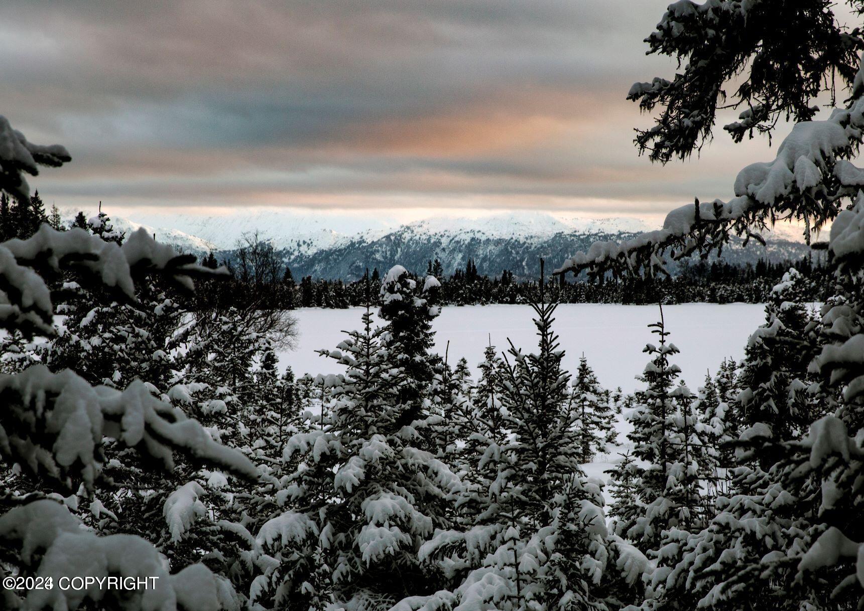 Homer, Alaska 99603, United States, ,Land,Active,54746
