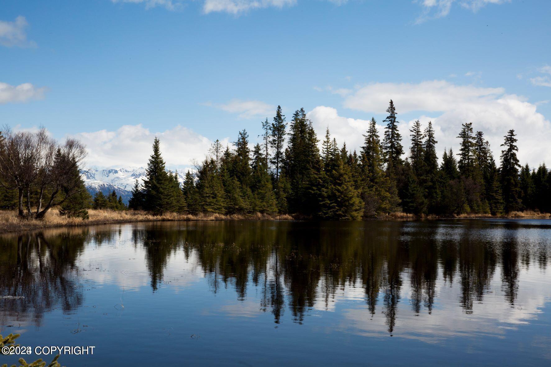 Homer, Alaska 99603, United States, ,Land,Active,54746