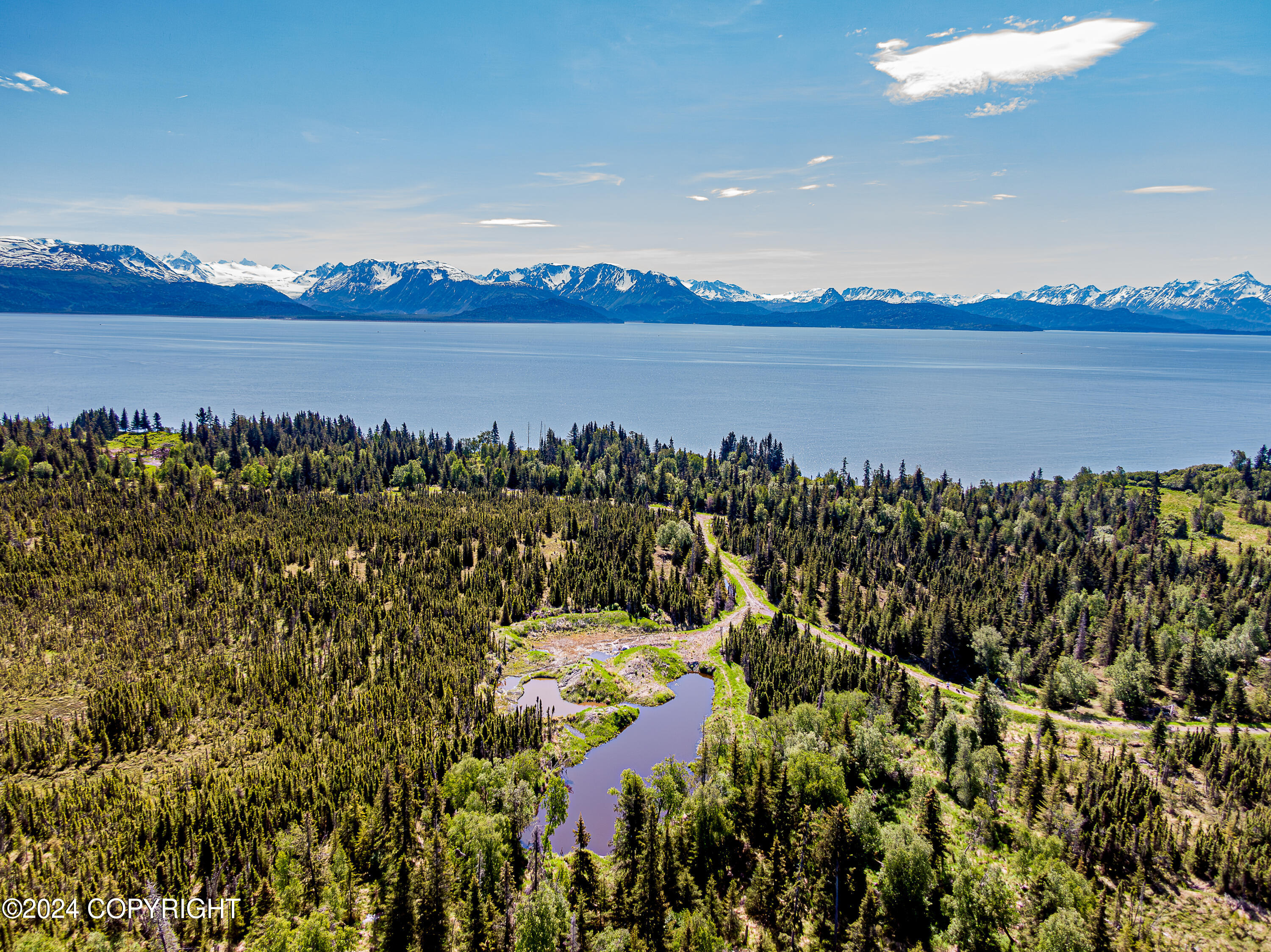 Homer, Alaska 99603, United States, ,Land,Active,54746