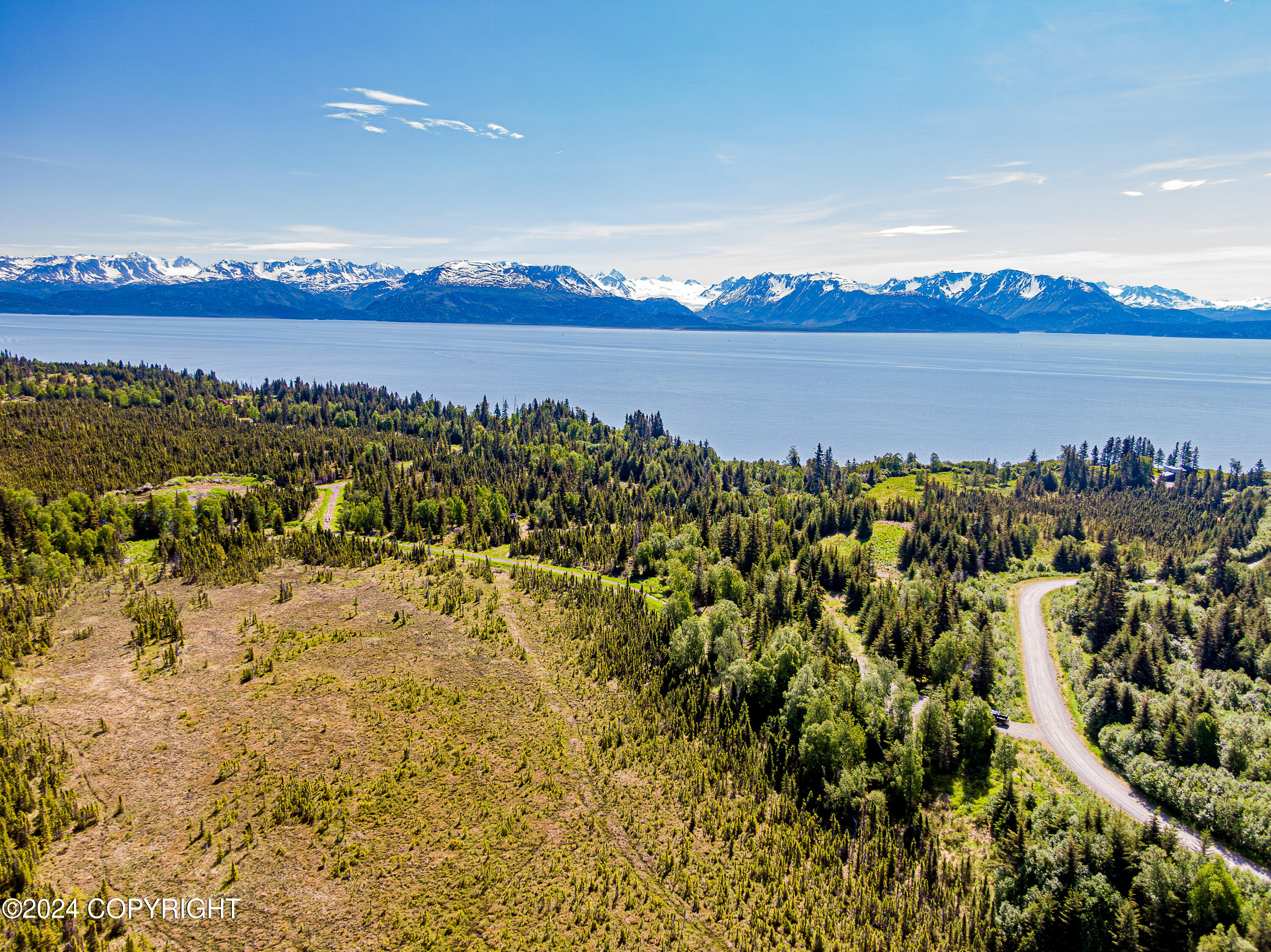 Homer, Alaska 99603, United States, ,Land,Active,54746