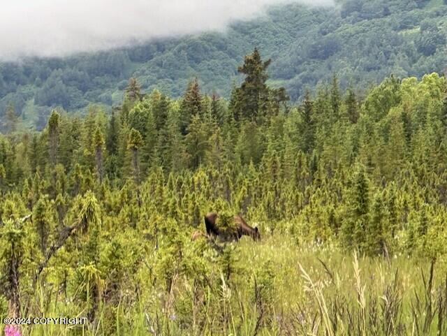 Homer, Alaska 99603, United States, ,Land,Active,54746