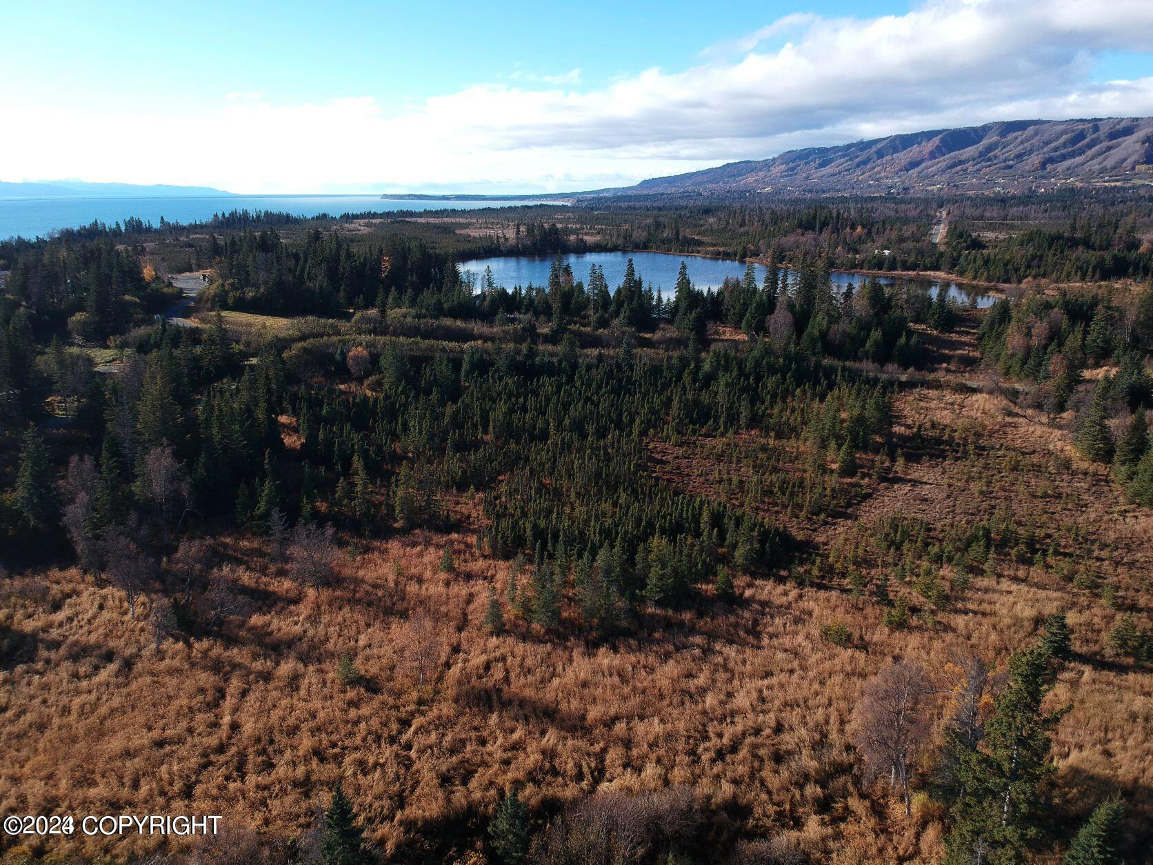 Homer, Alaska 99603, United States, ,Land,Active,54746