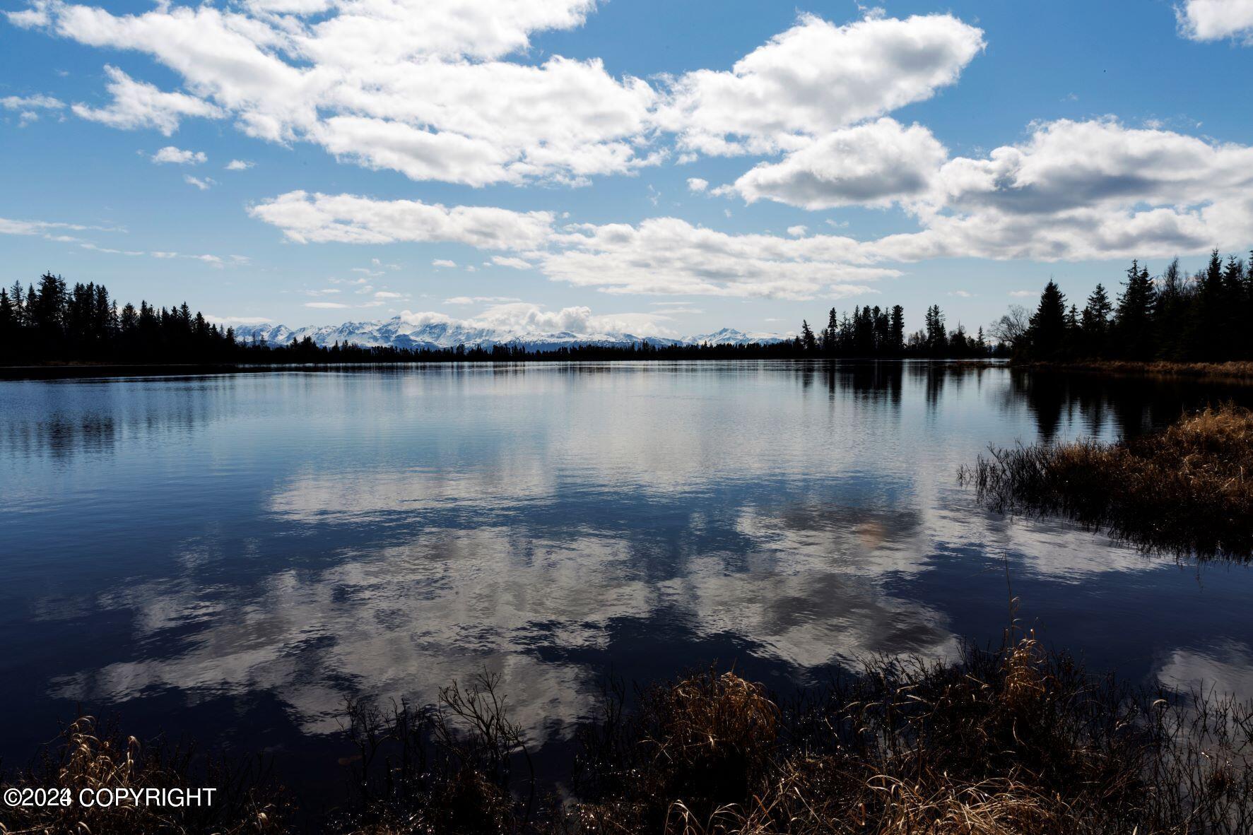 Homer, Alaska 99603, United States, ,Land,Active,54746
