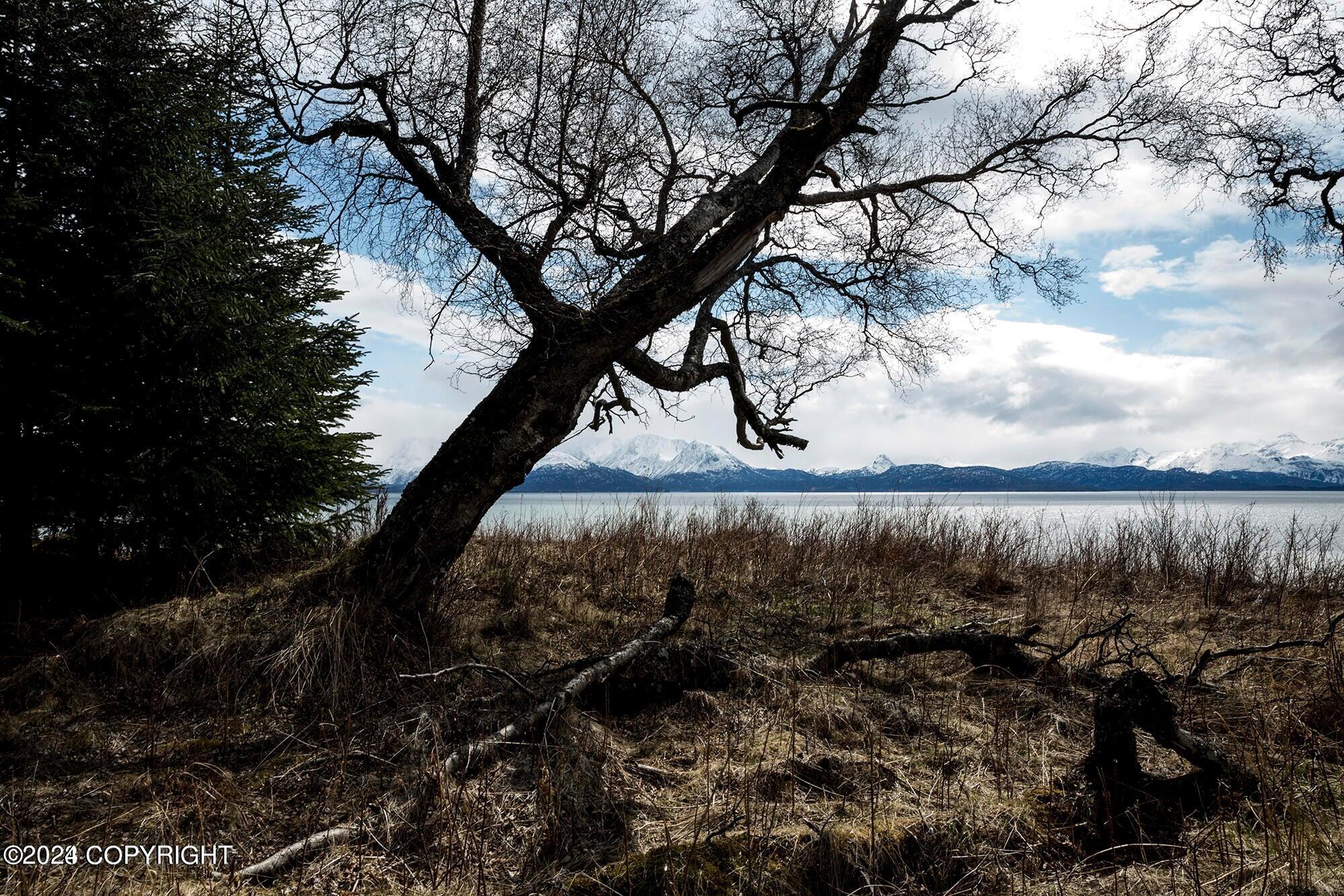 Homer, Alaska 99603, United States, ,Land,Active,54746