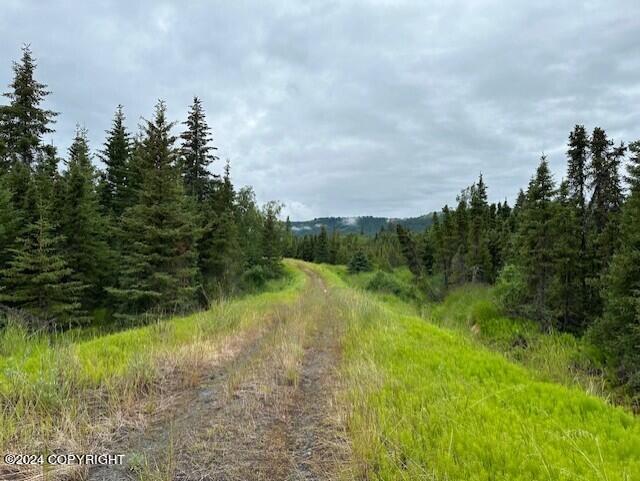 Homer, Alaska 99603, United States, ,Land,Active,54746