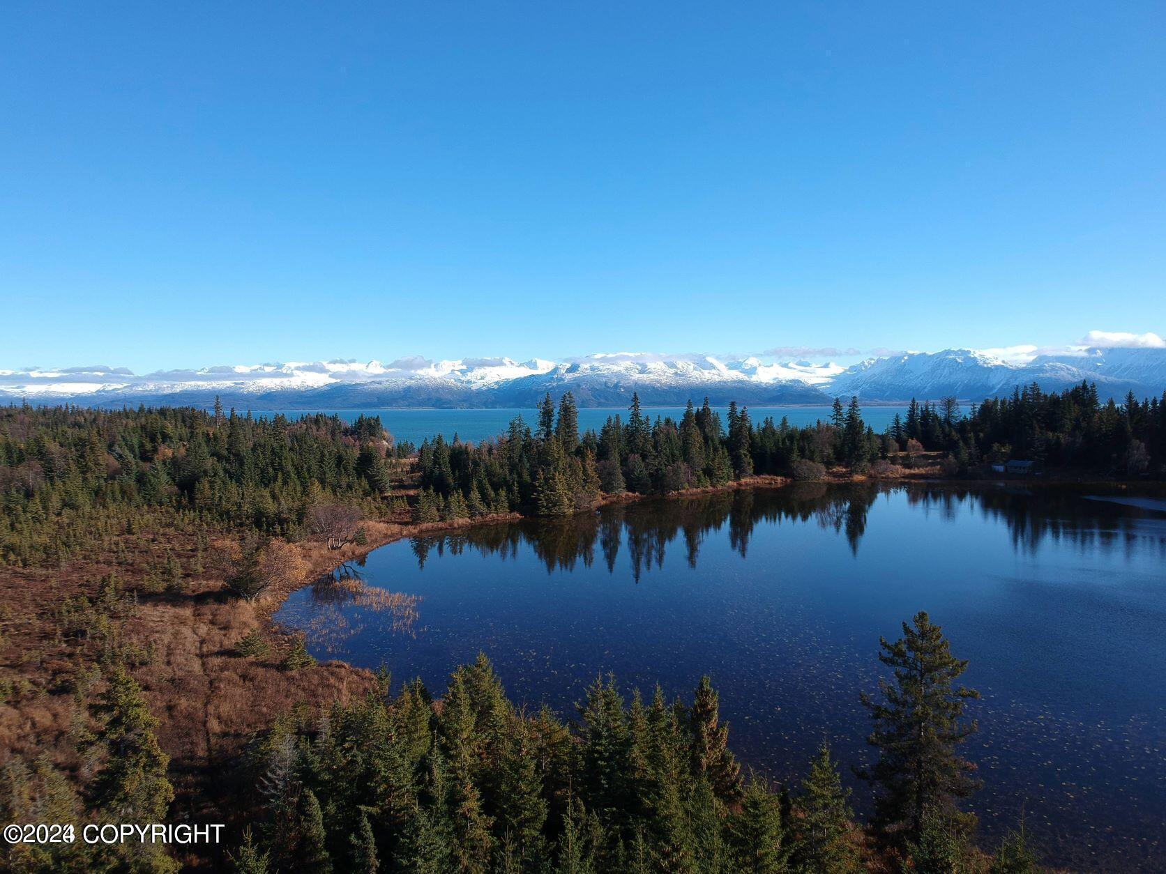 Homer, Alaska 99603, United States, ,Land,Active,54746