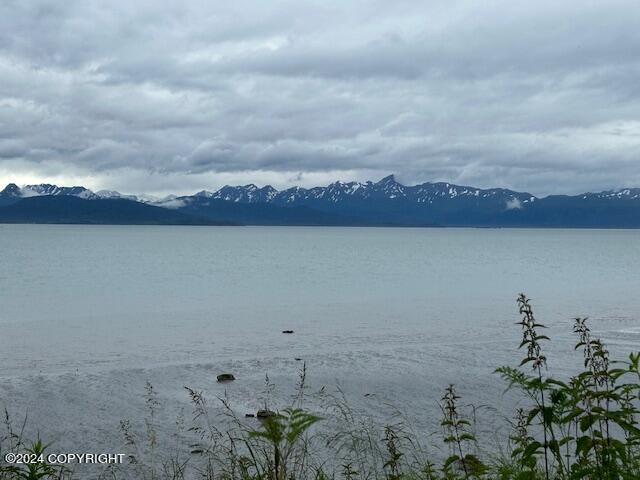 Homer, Alaska 99603, United States, ,Land,Active,54746