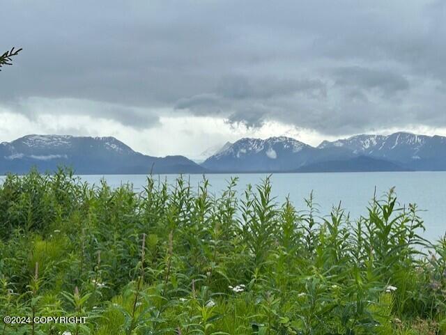 Homer, Alaska 99603, United States, ,Land,Active,54746