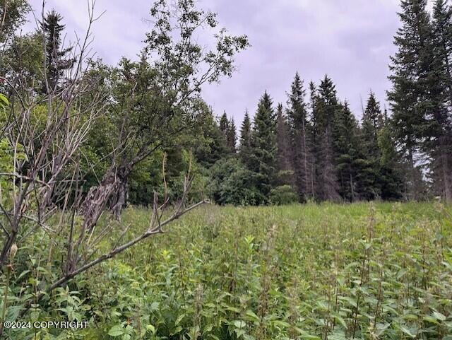 Homer, Alaska 99603, United States, ,Land,Active,54746