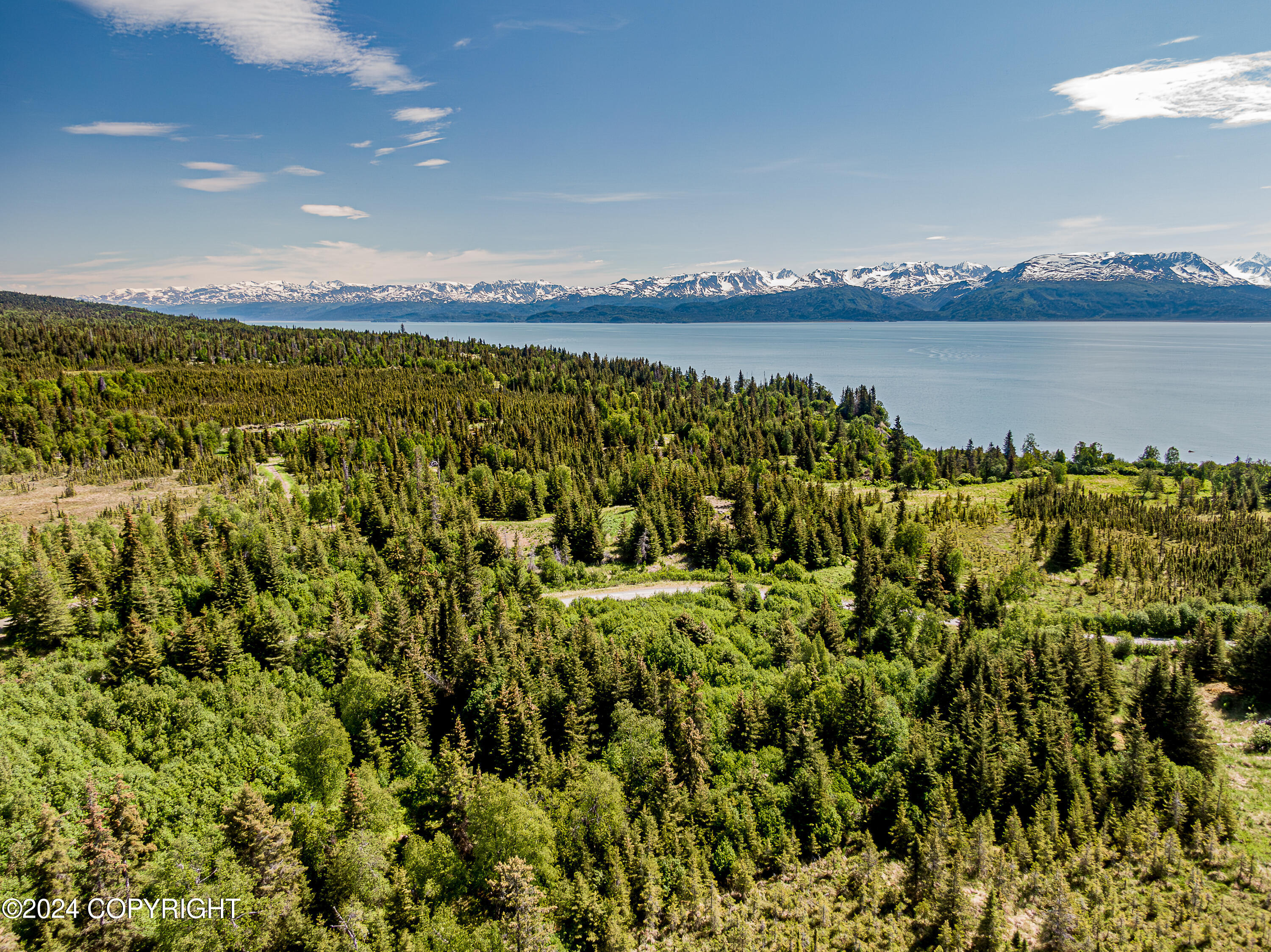 Homer, Alaska 99603, United States, ,Land,Active,54746