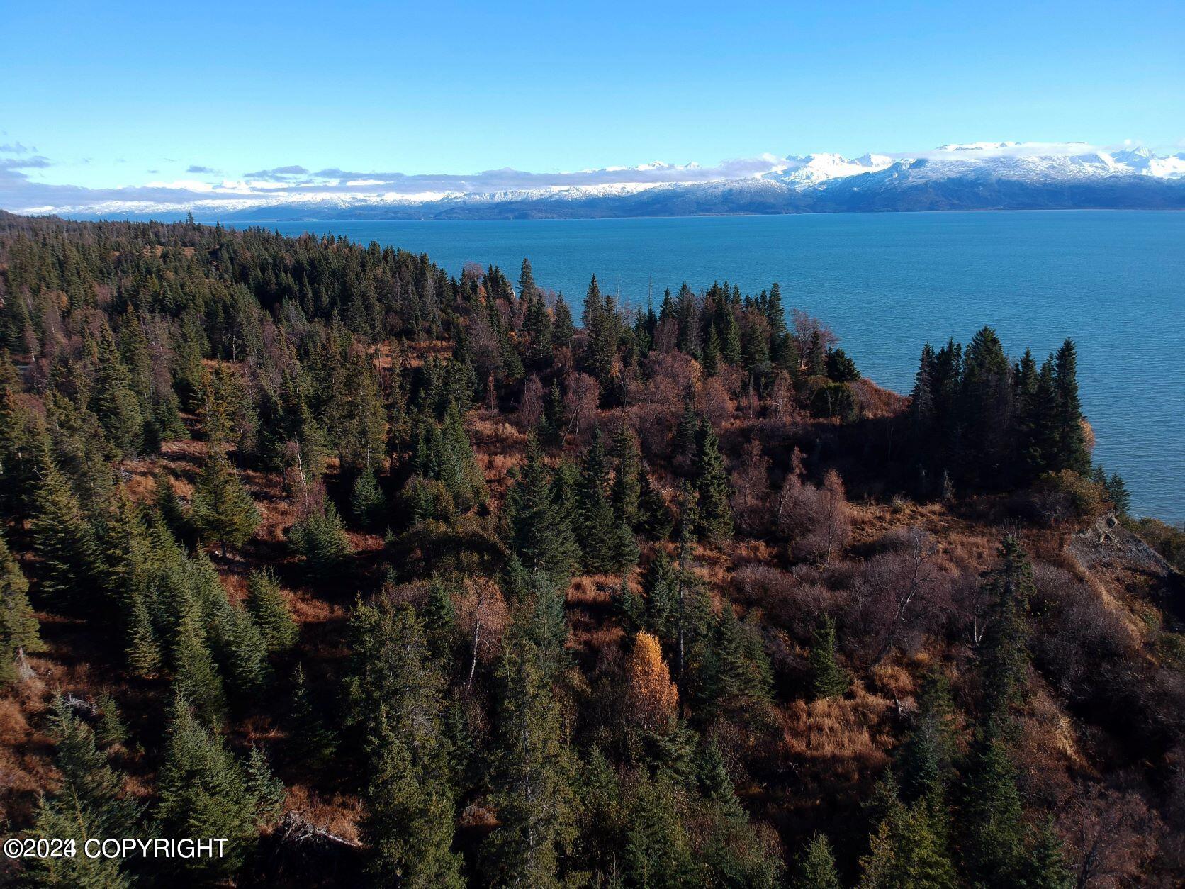 Homer, Alaska 99603, United States, ,Land,Active,54746