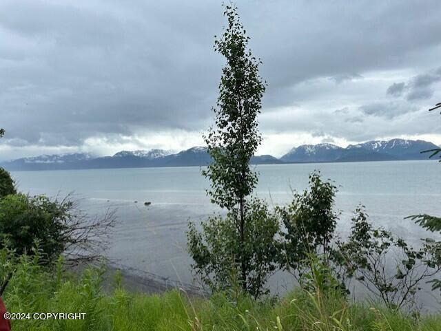 Homer, Alaska 99603, United States, ,Land,Active,54746