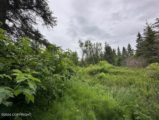 Homer, Alaska 99603, United States, ,Land,Active,54746