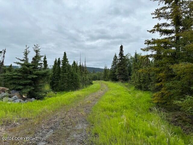 Homer, Alaska 99603, United States, ,Land,Active,54746