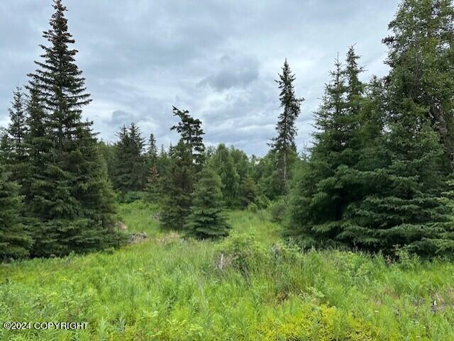 Homer, Alaska 99603, United States, ,Land,Active,54746