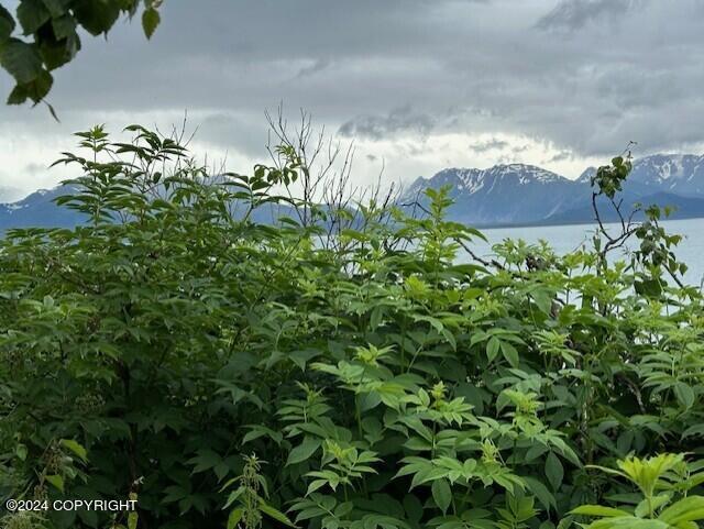 Homer, Alaska 99603, United States, ,Land,Active,54746