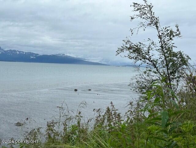 Homer, Alaska 99603, United States, ,Land,Active,54746