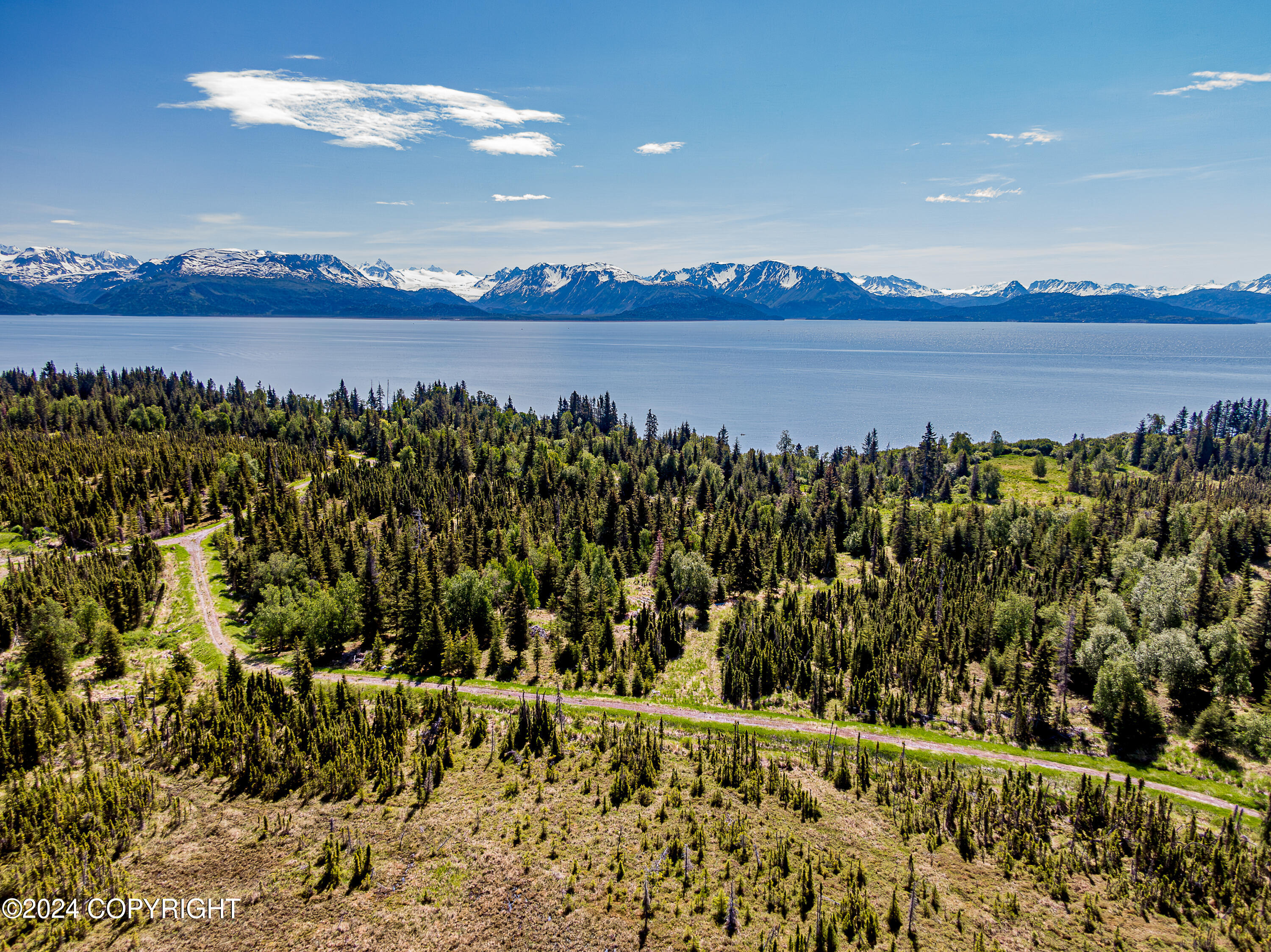Homer, Alaska 99603, United States, ,Land,Active,54746