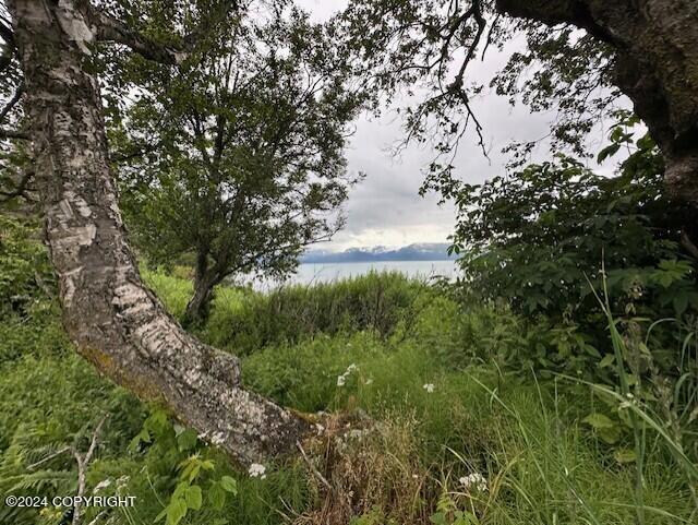 Homer, Alaska 99603, United States, ,Land,Active,54746