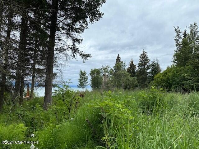 Homer, Alaska 99603, United States, ,Land,Active,54746