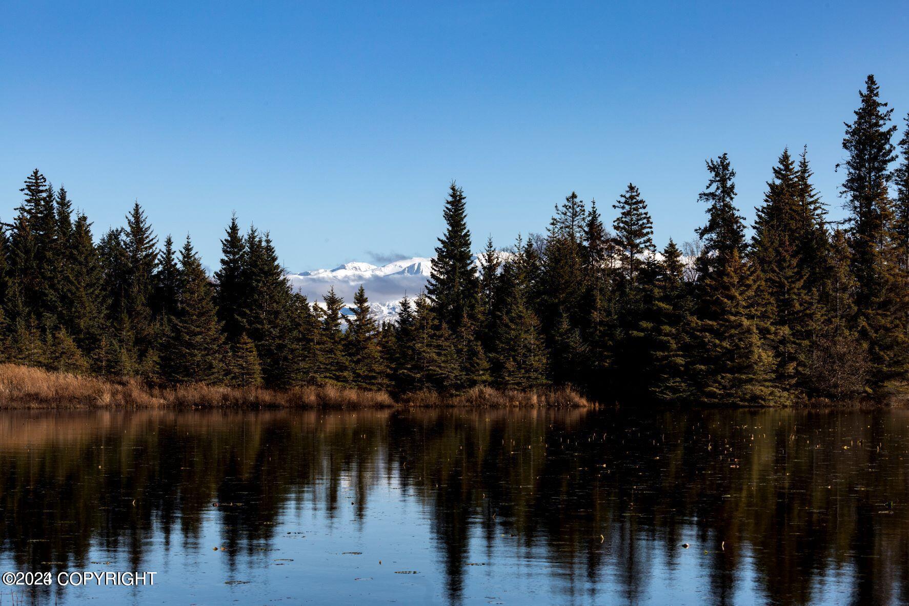 Homer, Alaska 99603, United States, ,Land,Active,54746