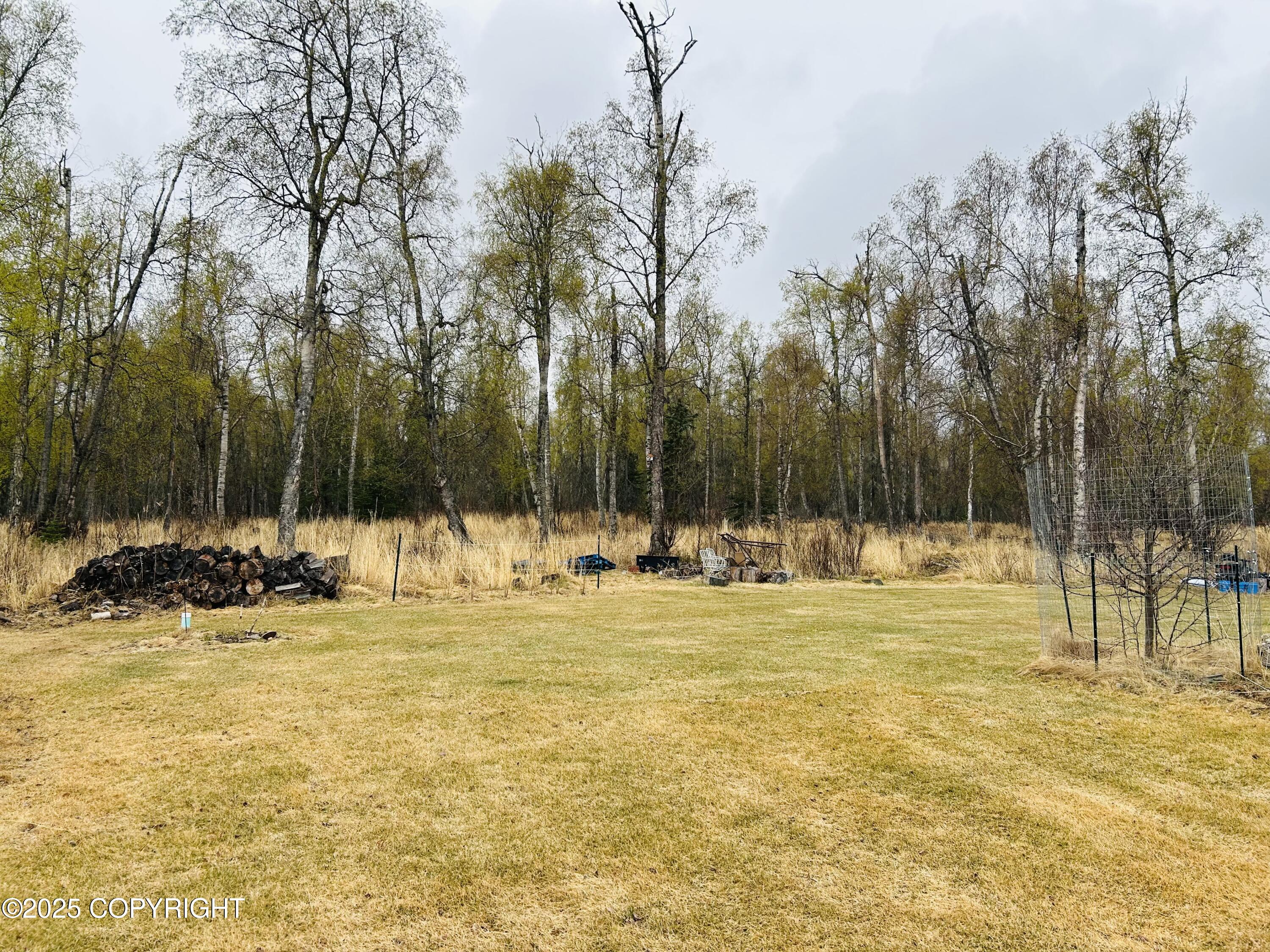 5789 S Hanson Loop, Wasilla, Alaska image 22