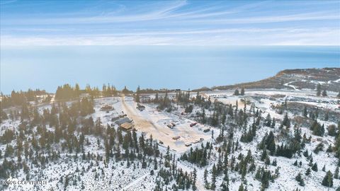 3800 Sterling Highway Homer AK 99603