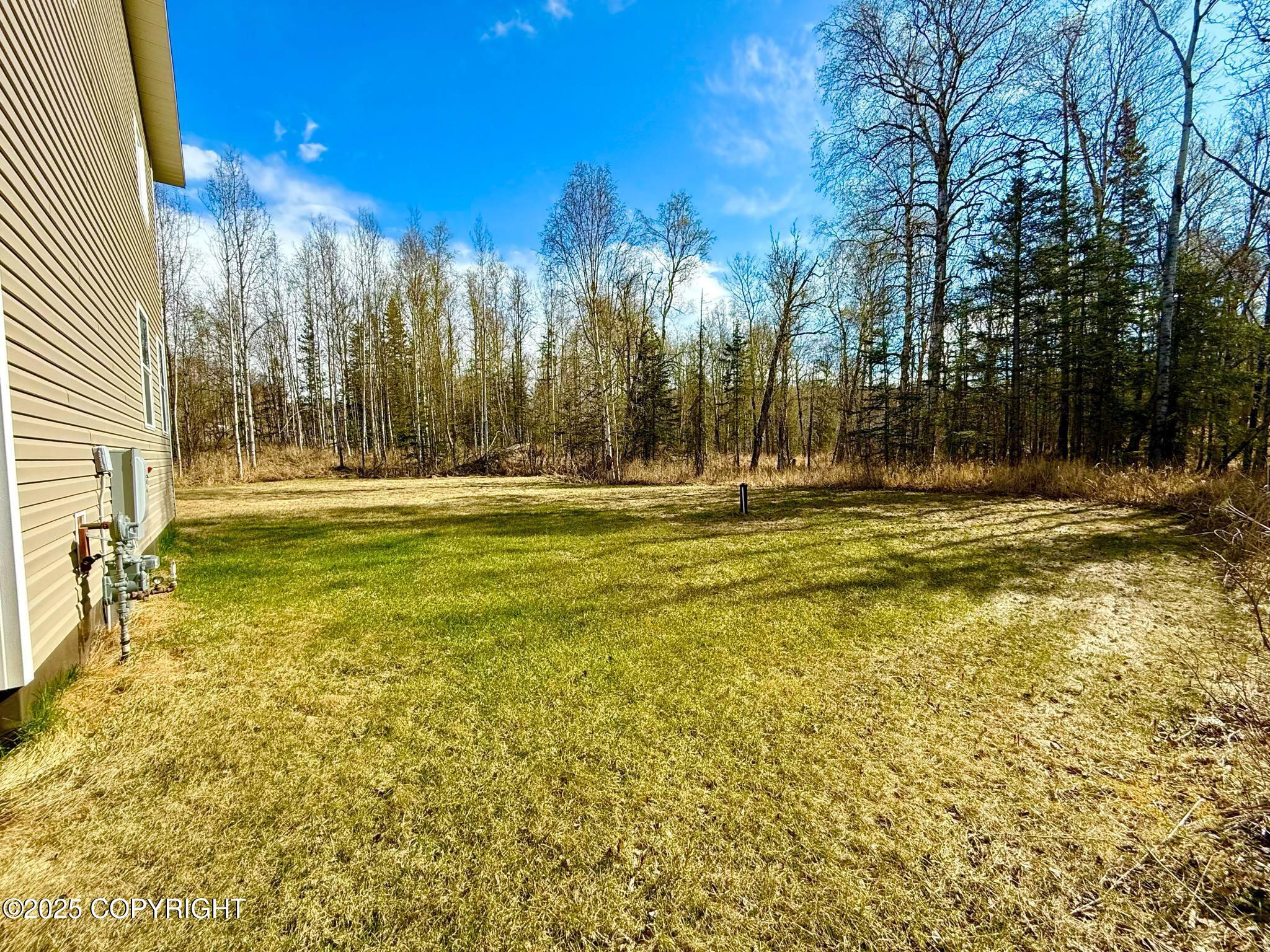 13460 E Hermann Avenue, Palmer, Alaska image 46