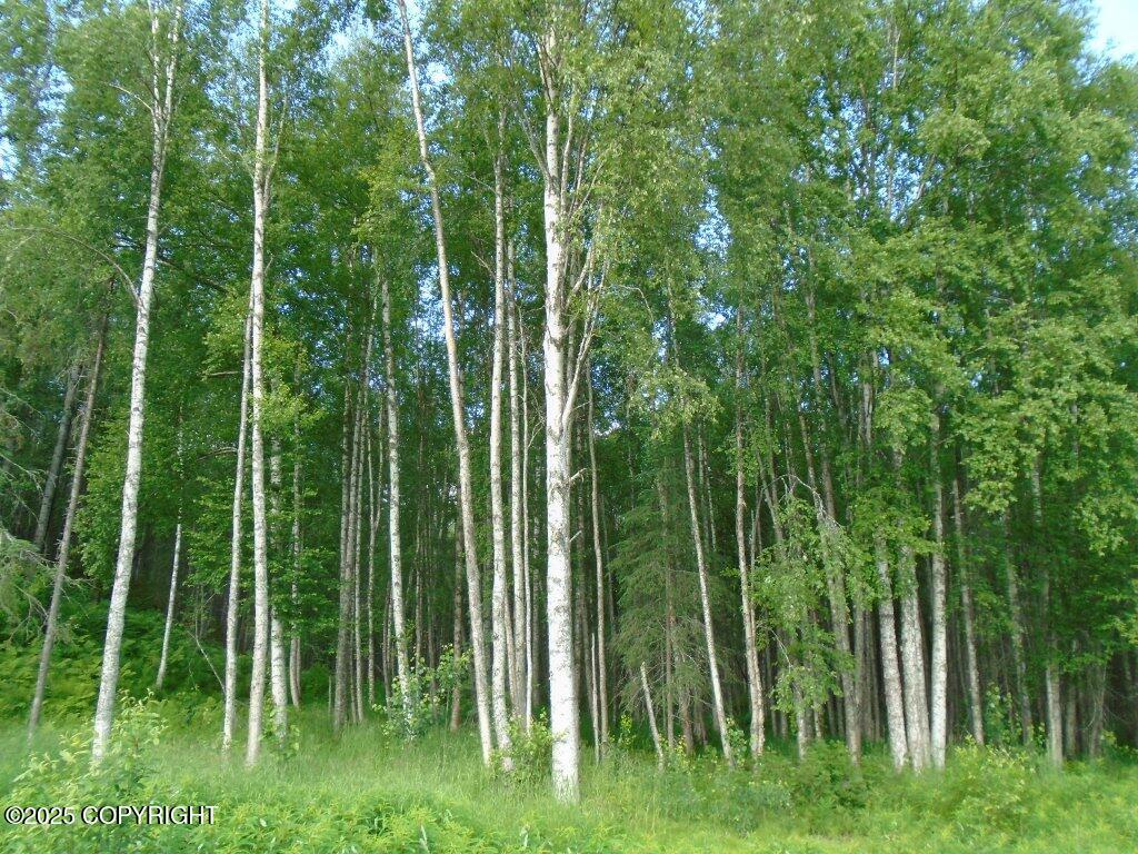 Tr E Mile 93 Parks Highway, Talkeetna, Alaska image 1