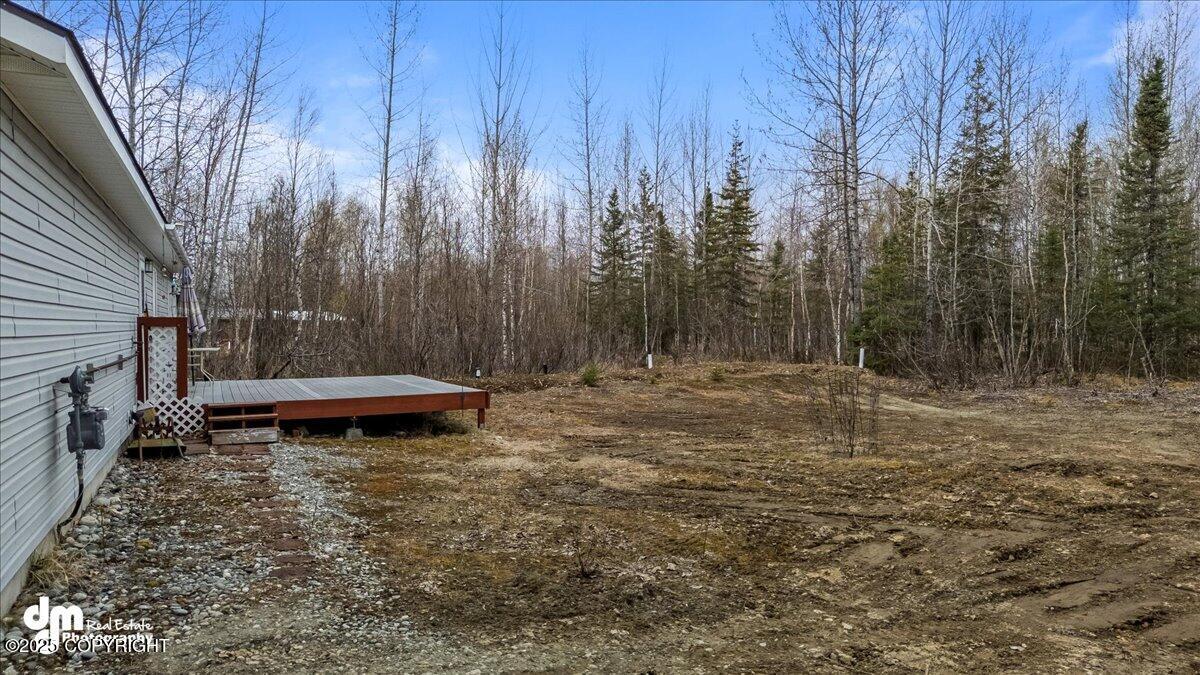 3064 S Jib Circle, Big Lake, Alaska image 29