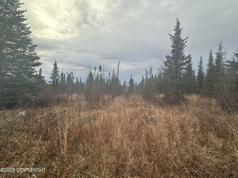 Vacant Land For Sale - 005 Wells Street<br/> Ninilchik, AK 99639