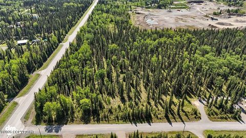 Photo of 28254 N Cohoe Loop Road, Kasilof, AK 99610 (MLS # 26-4937)