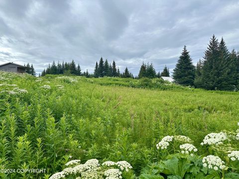 Vacant Land For Sale - 64675 Leandra Road<br/> Homer, AK 99603