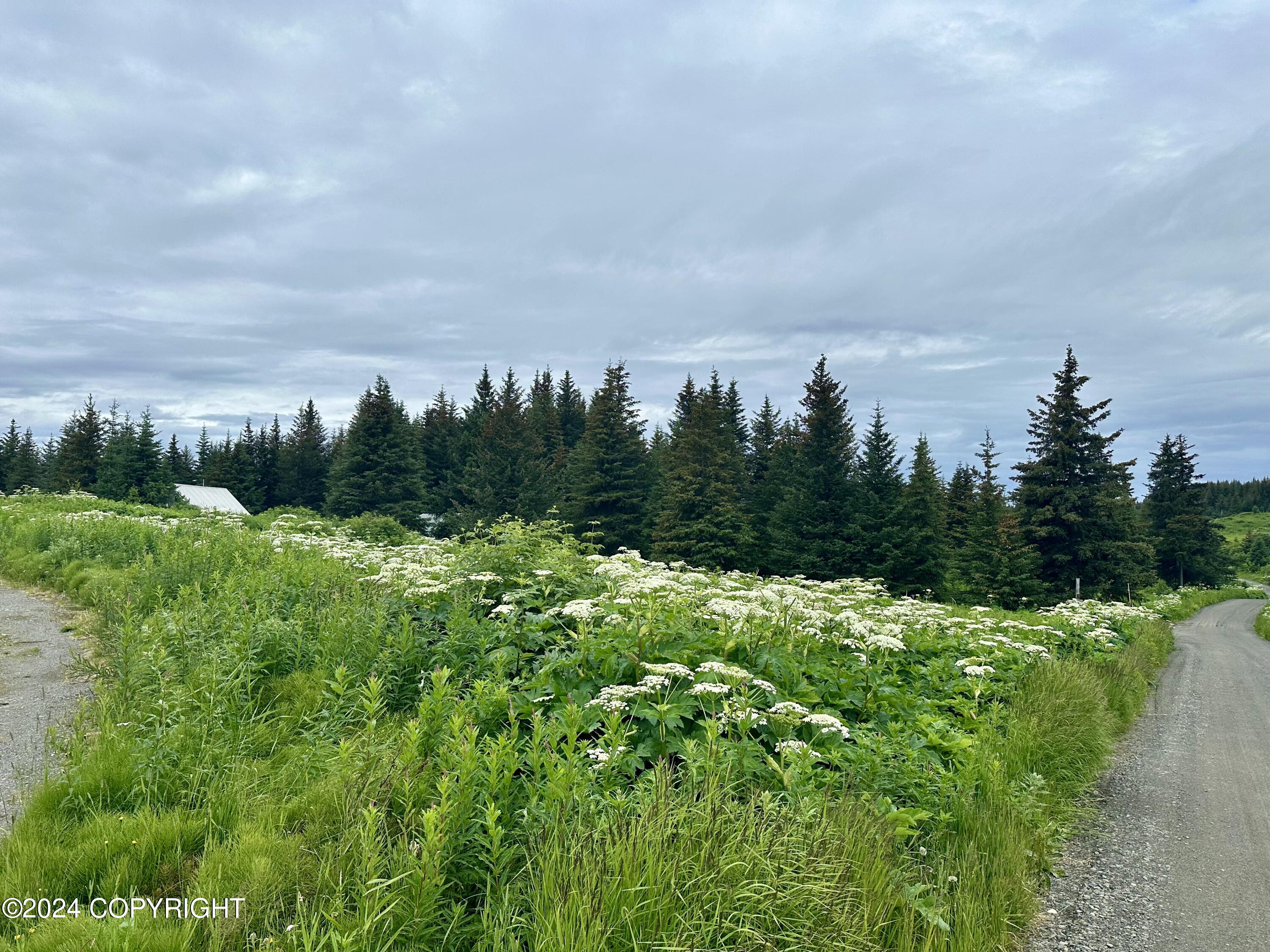64675 E Leandra Road, Homer, Alaska image 3