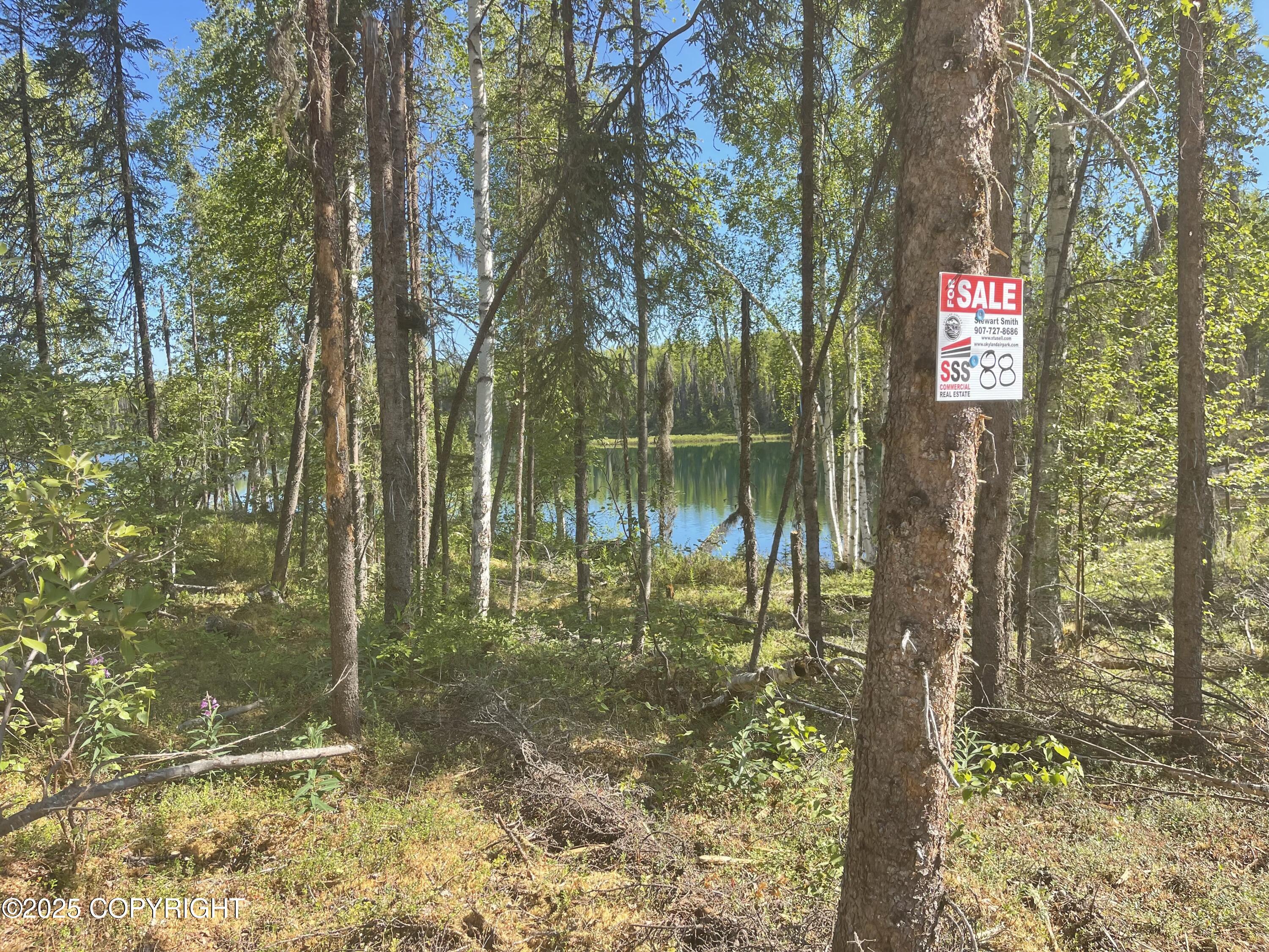 19491 E Good Land Drive, Willow, Alaska image 18