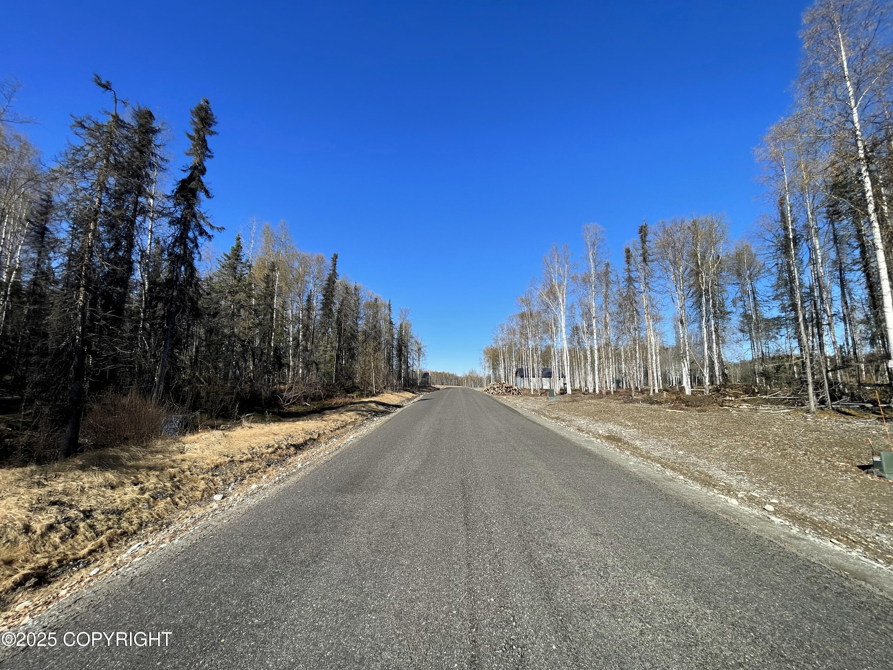 19491 E Good Land Drive, Willow, Alaska image 12