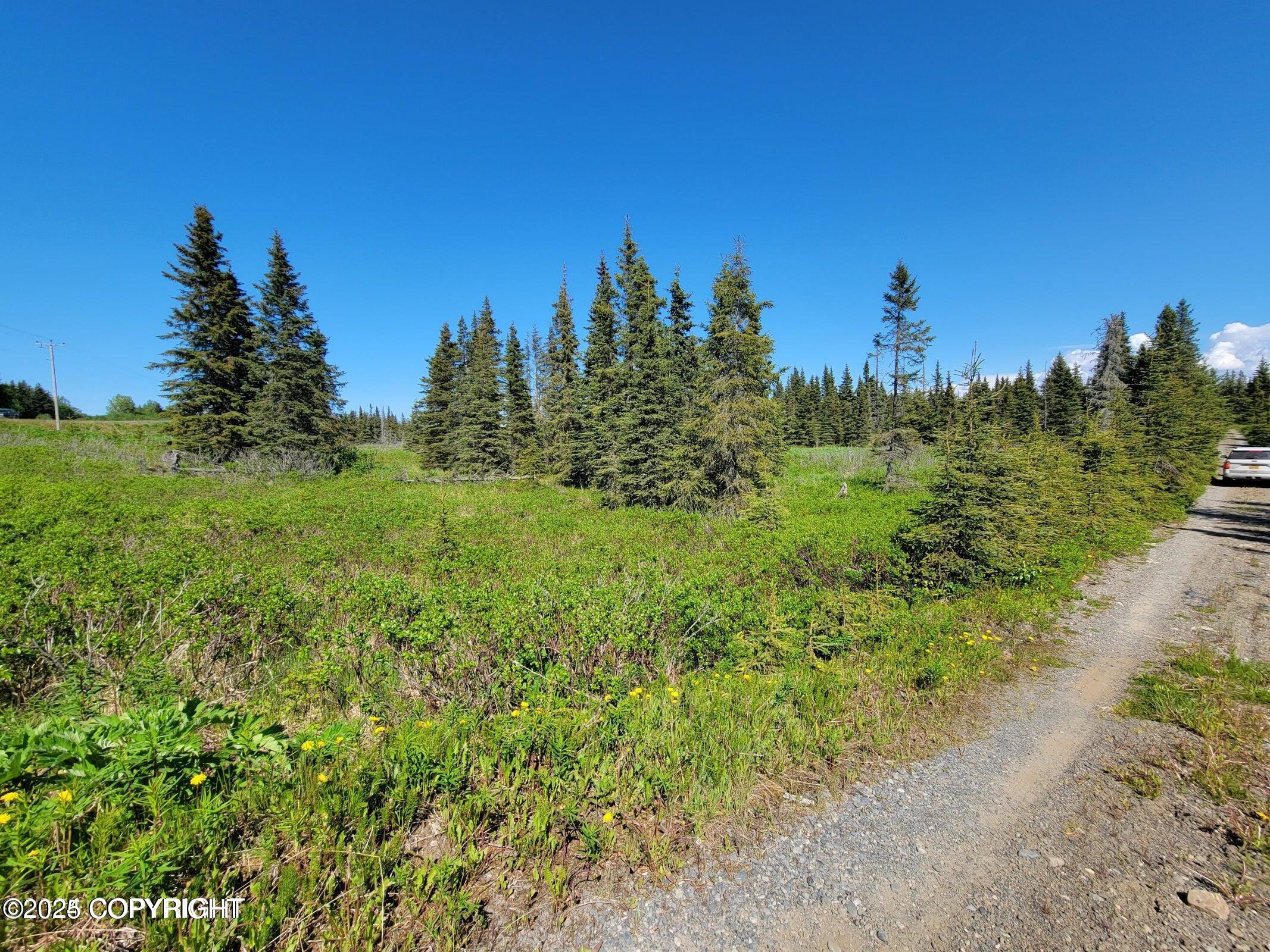 19870 Sterling Highway, Ninilchik, Alaska image 8