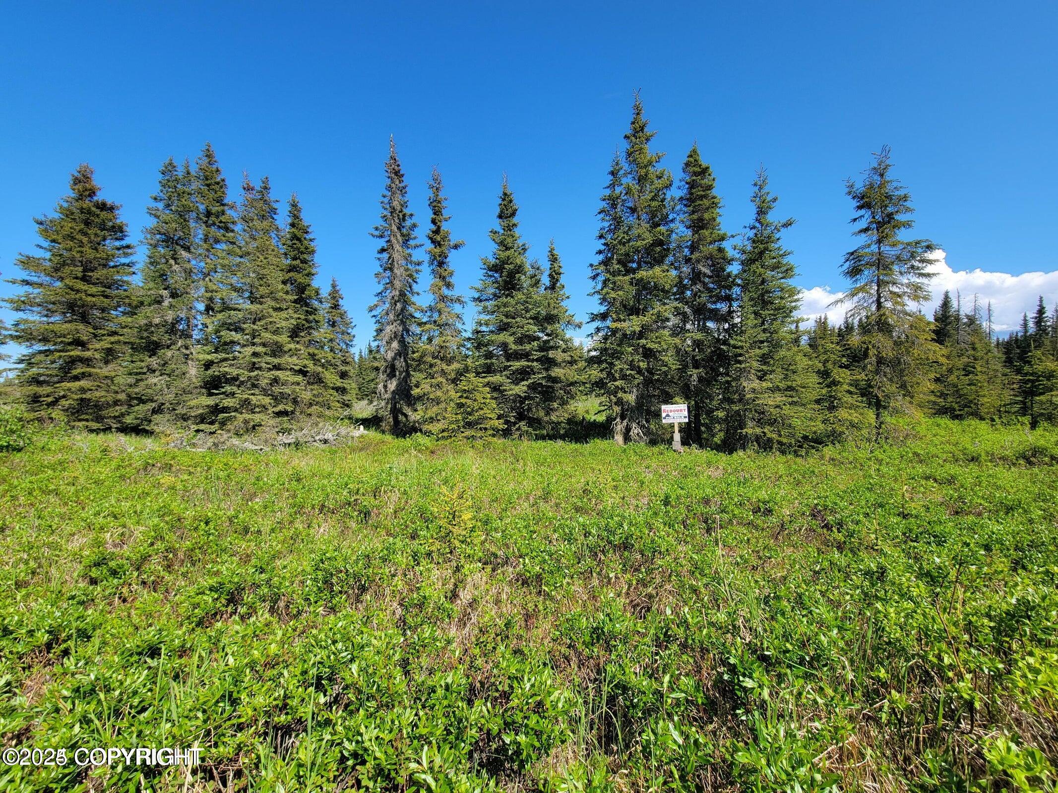 19870 Sterling Highway, Ninilchik, Alaska image 7