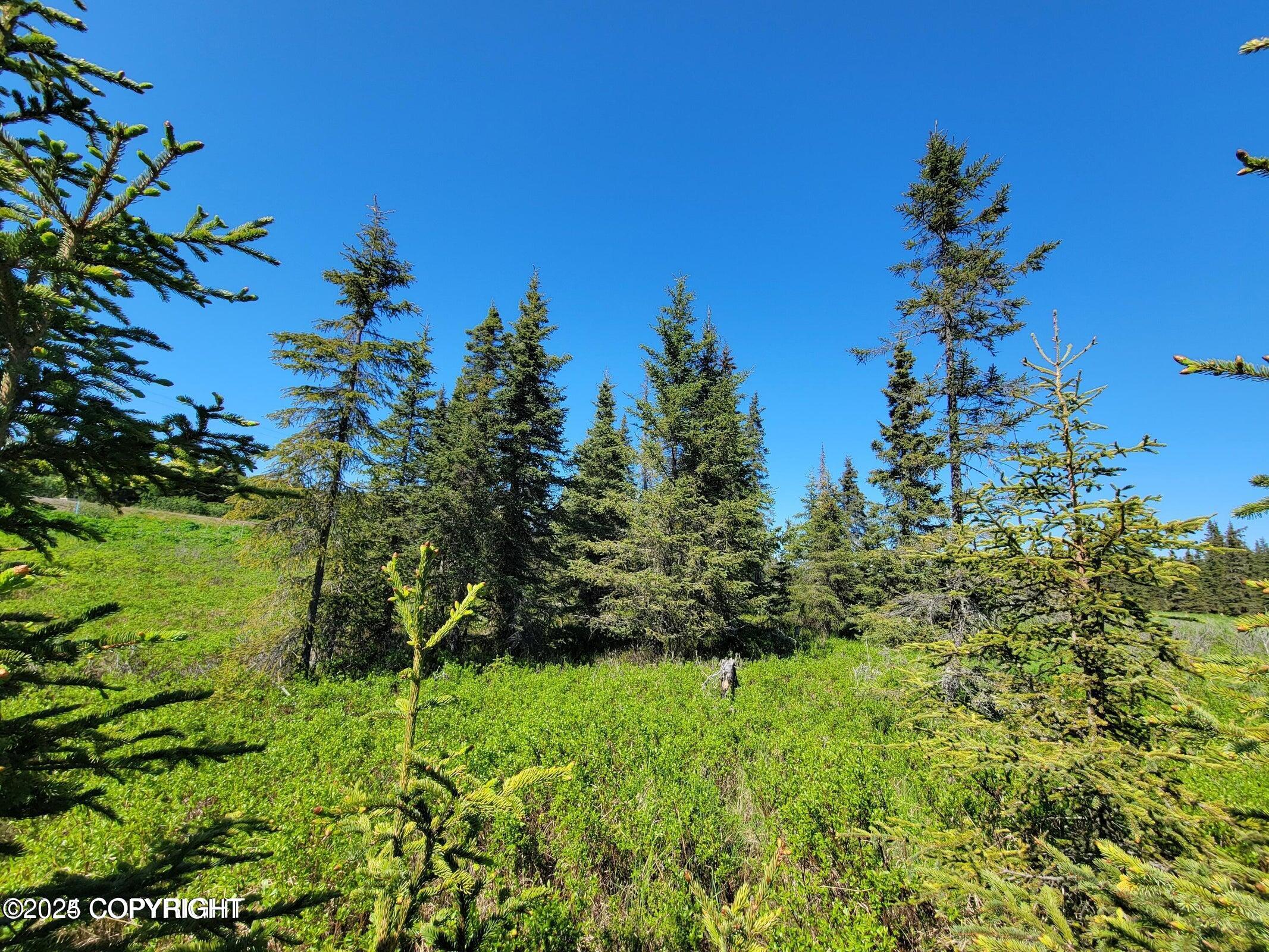19870 Sterling Highway, Ninilchik, Alaska image 4